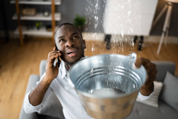 Best Fire Damage Restoration  in Springmont, PA