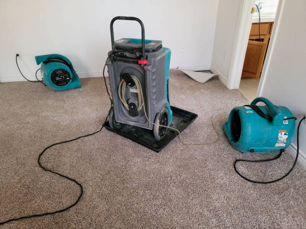 Best Sewage cleanup and water damage restoration  in Springmont, PA