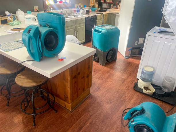 Best Sewage cleanup and water damage restoration  in Springmont, PA
