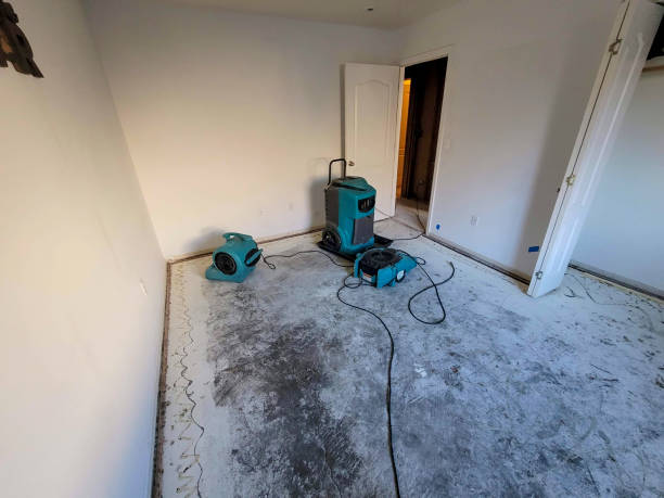 Best Emergency water damage restoration  in Springmont, PA