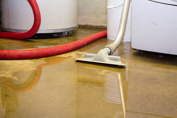 Best Residential water damage restoration  in Springmont, PA