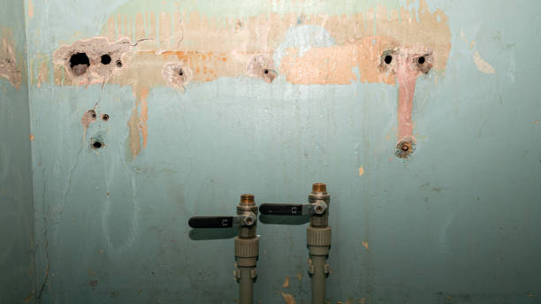 Best Commercial water damage restoration  in Springmont, PA